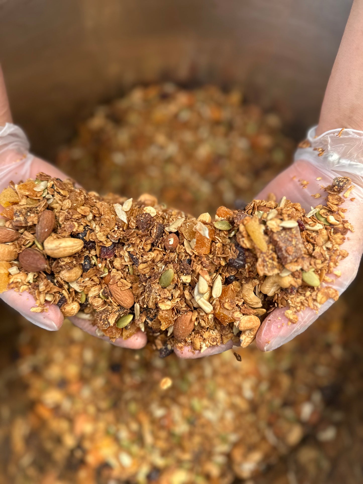 Fruit & Nut Granola 600gm