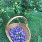 Plum and Elderflower Jam 200gm