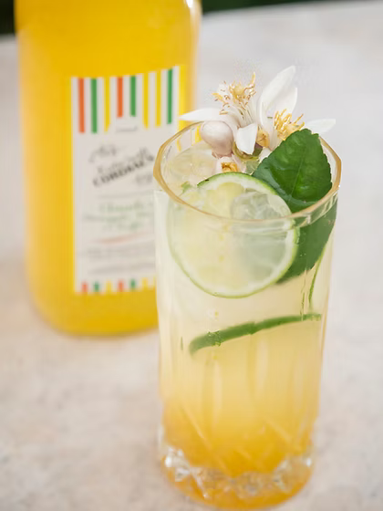 Katie Swift Cordials 750ml